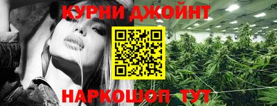 сатива Канаш