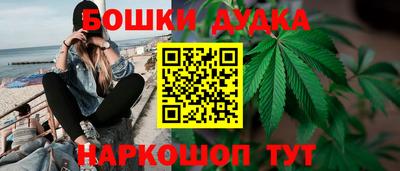 гашик Кандалакша