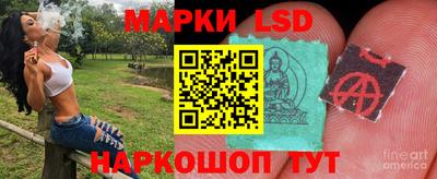 гашик Кандалакша