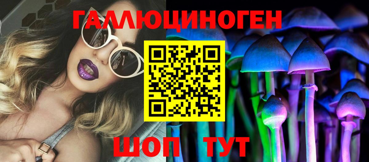 Галлюциногенные грибы Psilocybe Калач-на-Дону